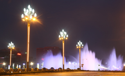 四川成都人民南路-天府大道“玉兰”灯