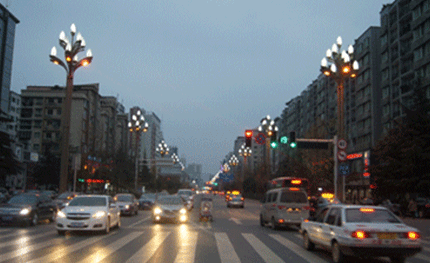 四川巴中：玉兰光耀革命老区