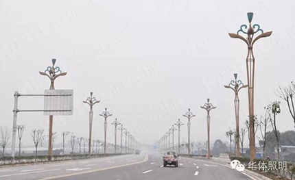 四川眉山——“金荷”灯