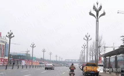 四川营山——“玉兰”灯