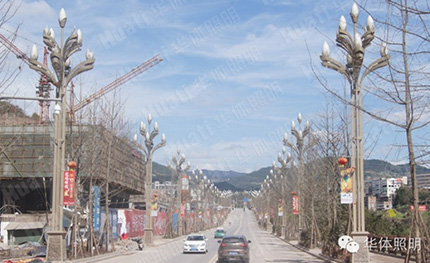 四川巴中通江县——“玉兰”灯