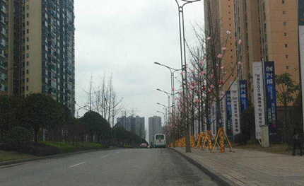 四川自贡——”和谐“路灯