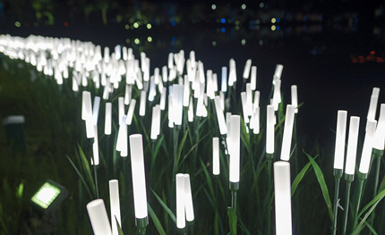 成都世警会正火热开展，华体用夜景照明这样添彩世警会