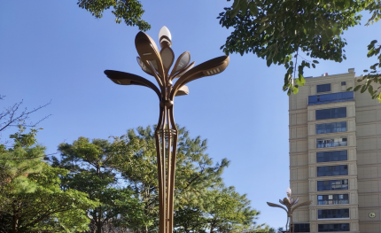 云南云县|助力全域智慧停车