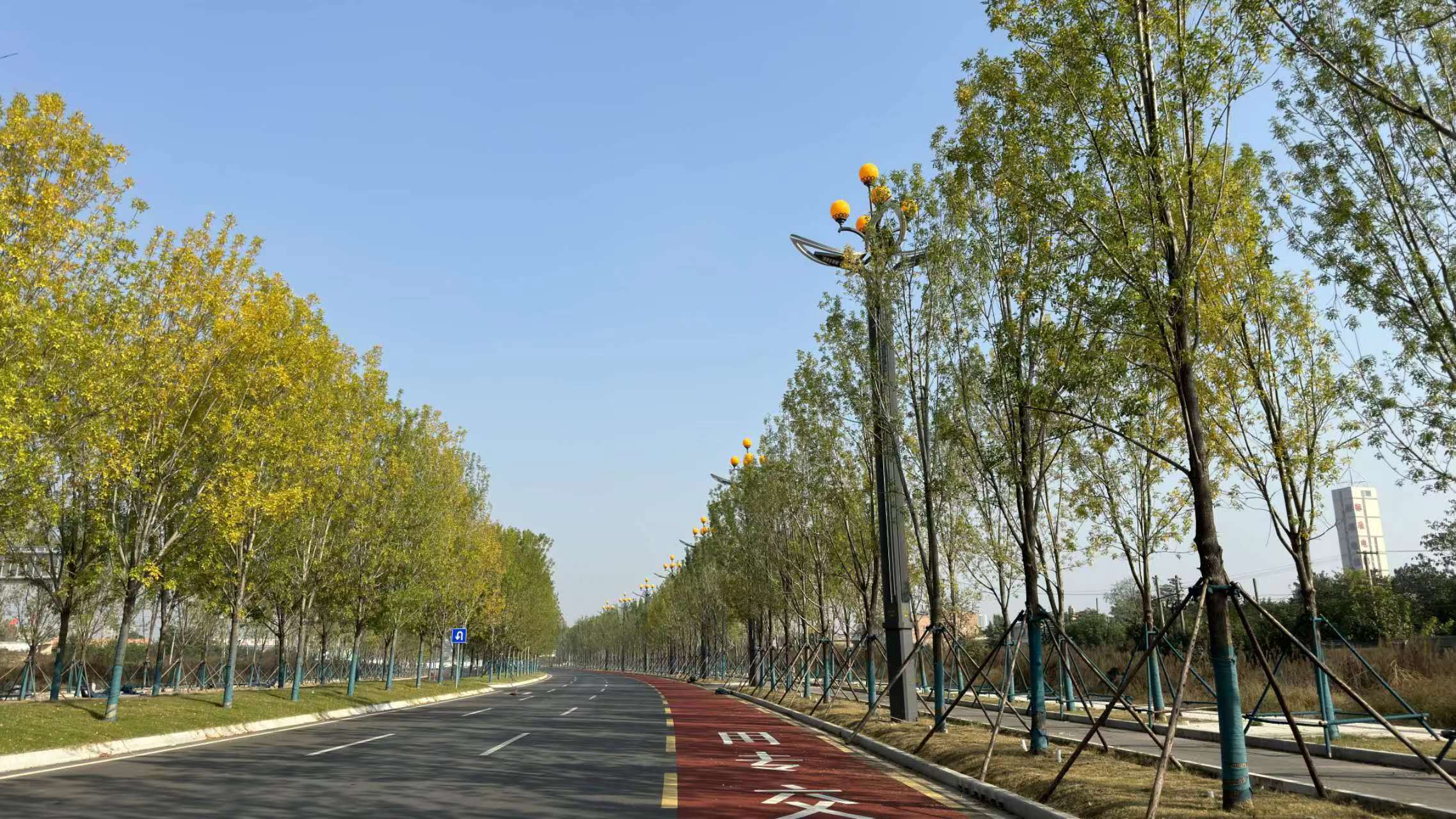 又上央视了！这次是因为“它”