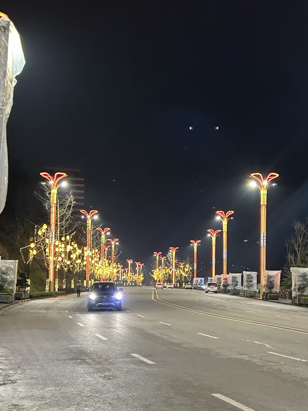 四川广安 | 嘉陵江畔，银杏之光舞动武胜之夜